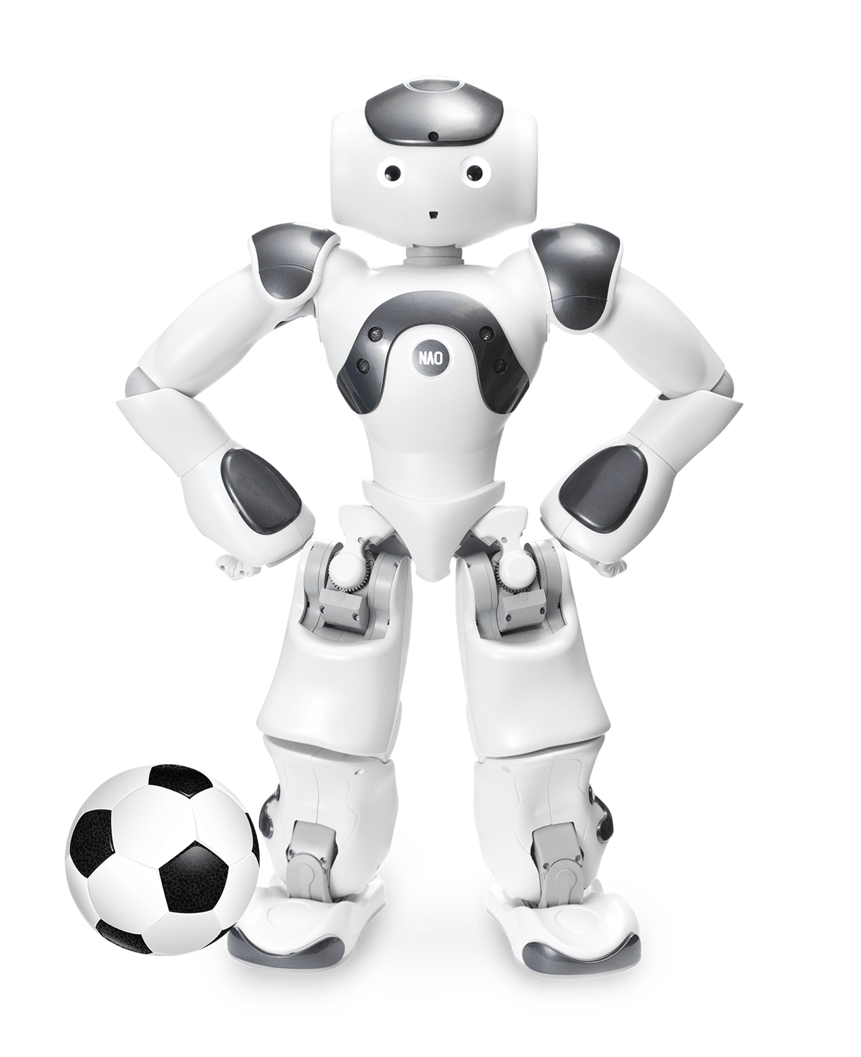 Robocup Standard League